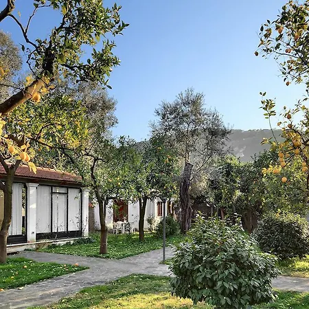 Il Giardino Apartment *